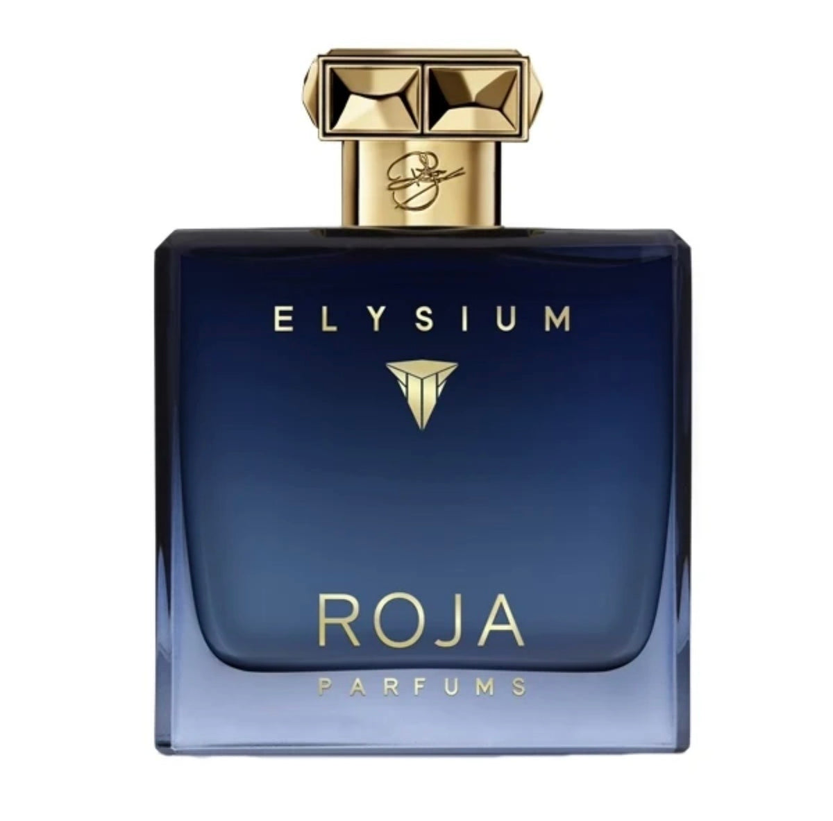Roja Elysium Pour Homme Eau de Parfum 100ml – Luxury Men's Fragrance